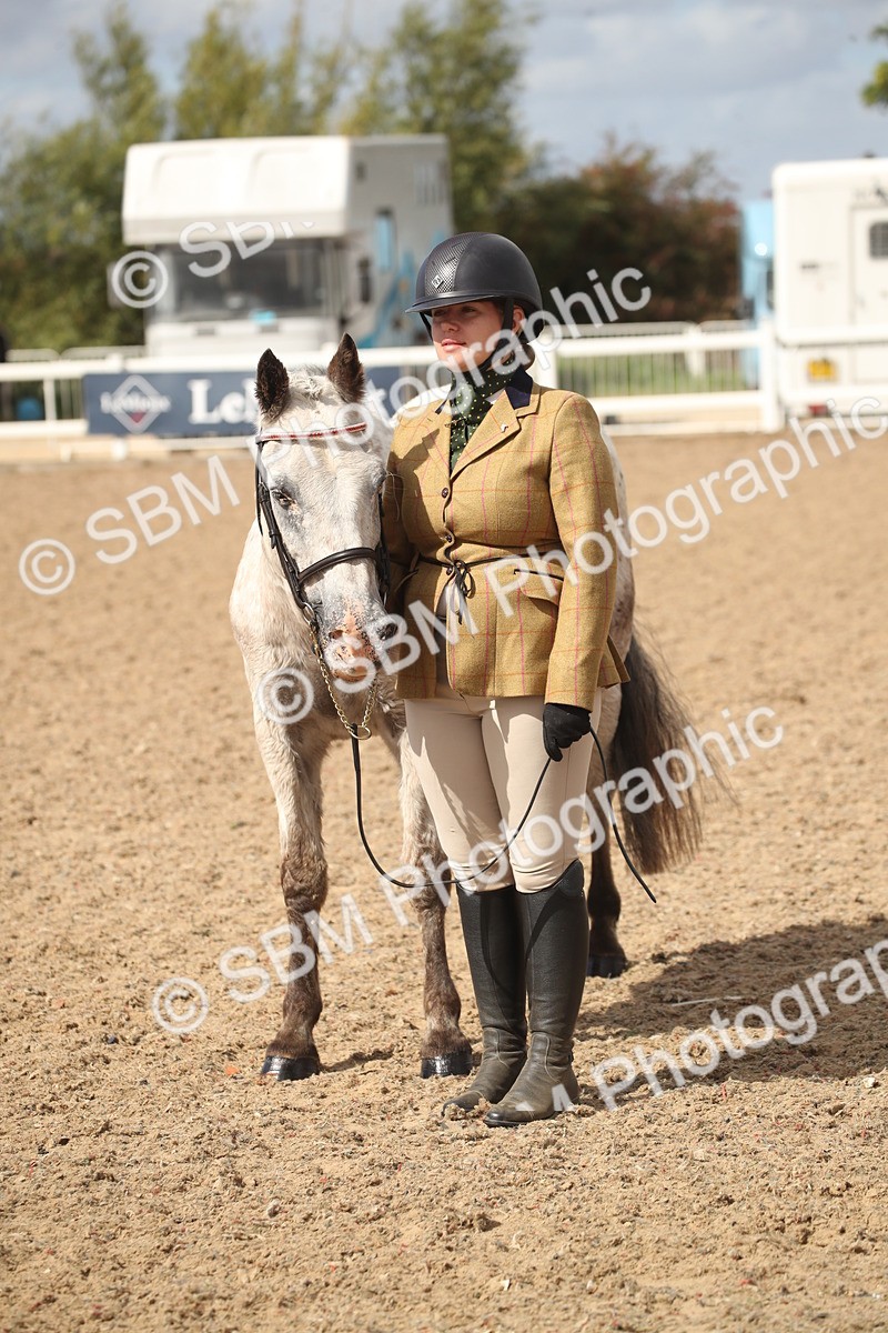 SBM_23466 - Class 604 - 2026 - Area IH Diamond