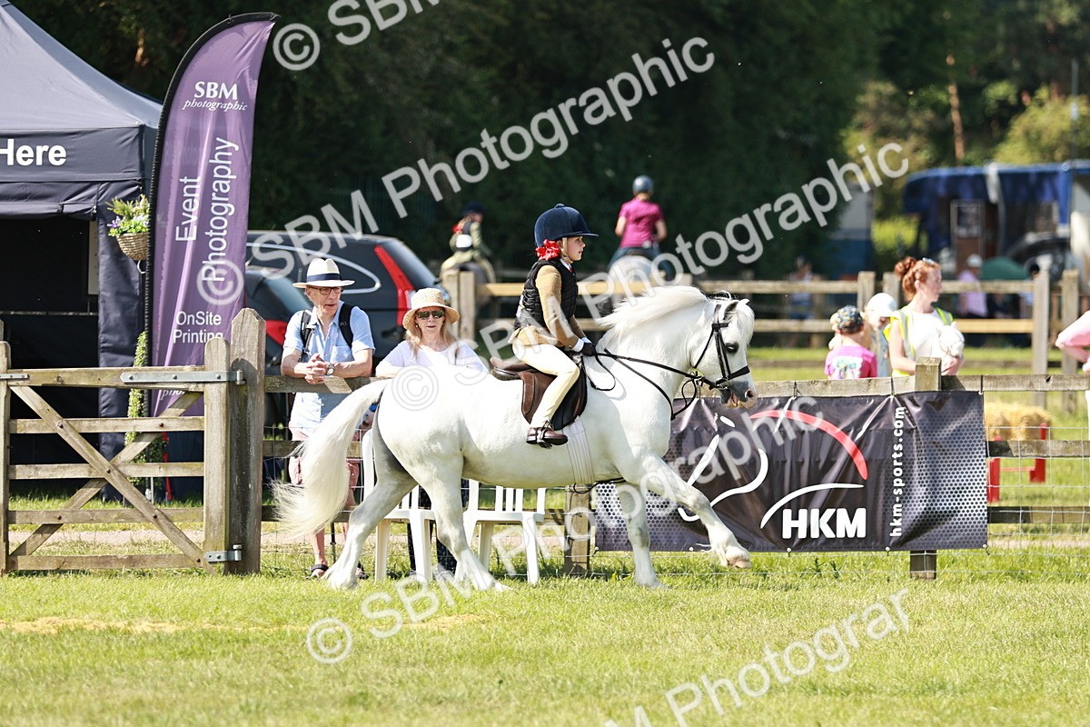 SBM_12753 - Class 106-107 - BSPS LIHS Working Sports Pony