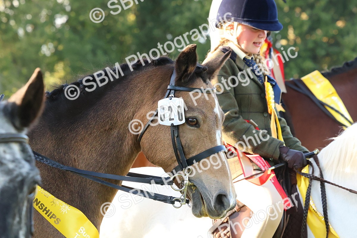 SBM_53178 - Veteran Supreme Championship