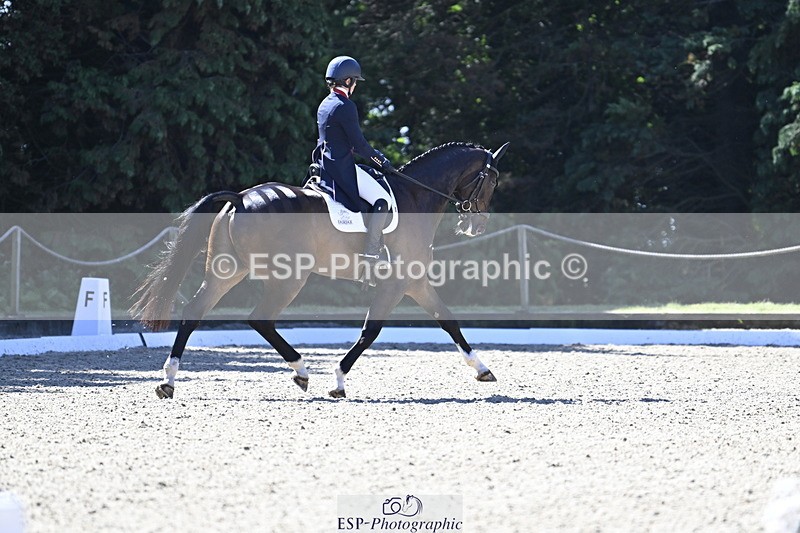 250522A-101139-02627 - B-310-Kitty.King-LISCARROW.FERNHILL
