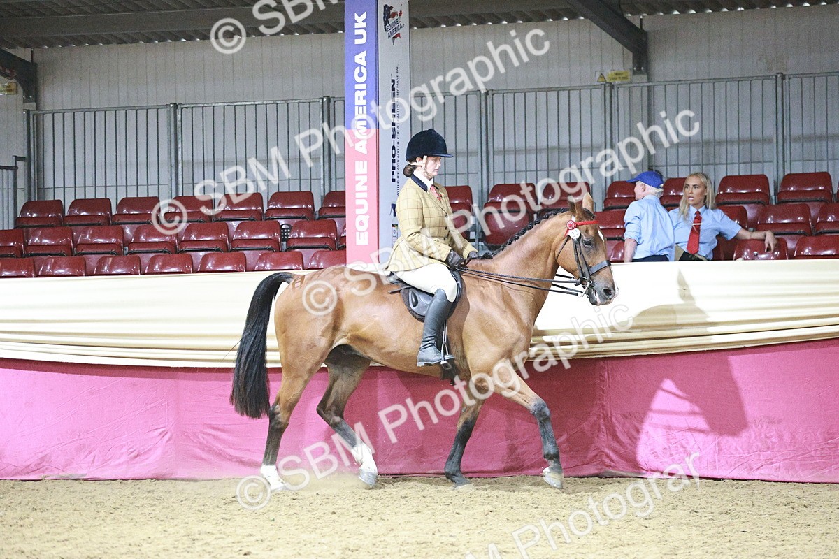 SBM_08041 - Class 11R - Regional Ridden Veteran