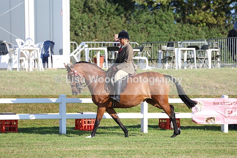 3E7A5017 - Class 1: Rising Star Small Hack/Riding Horses