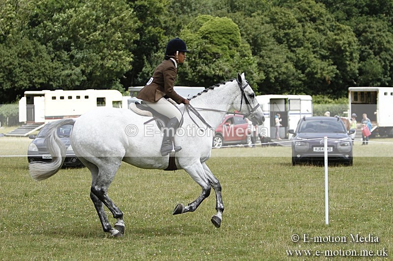 BVR160717-1835 - Ring 3 BVRC Show 16/07/17