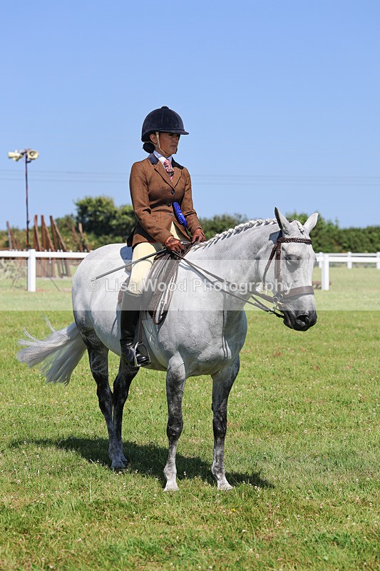 IMG_2199 - Class 36: Part Bred Ridden M & M