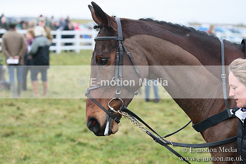 PtP 170219 -32 - Combined Services Point-To-Point Larkhill 17/02/19