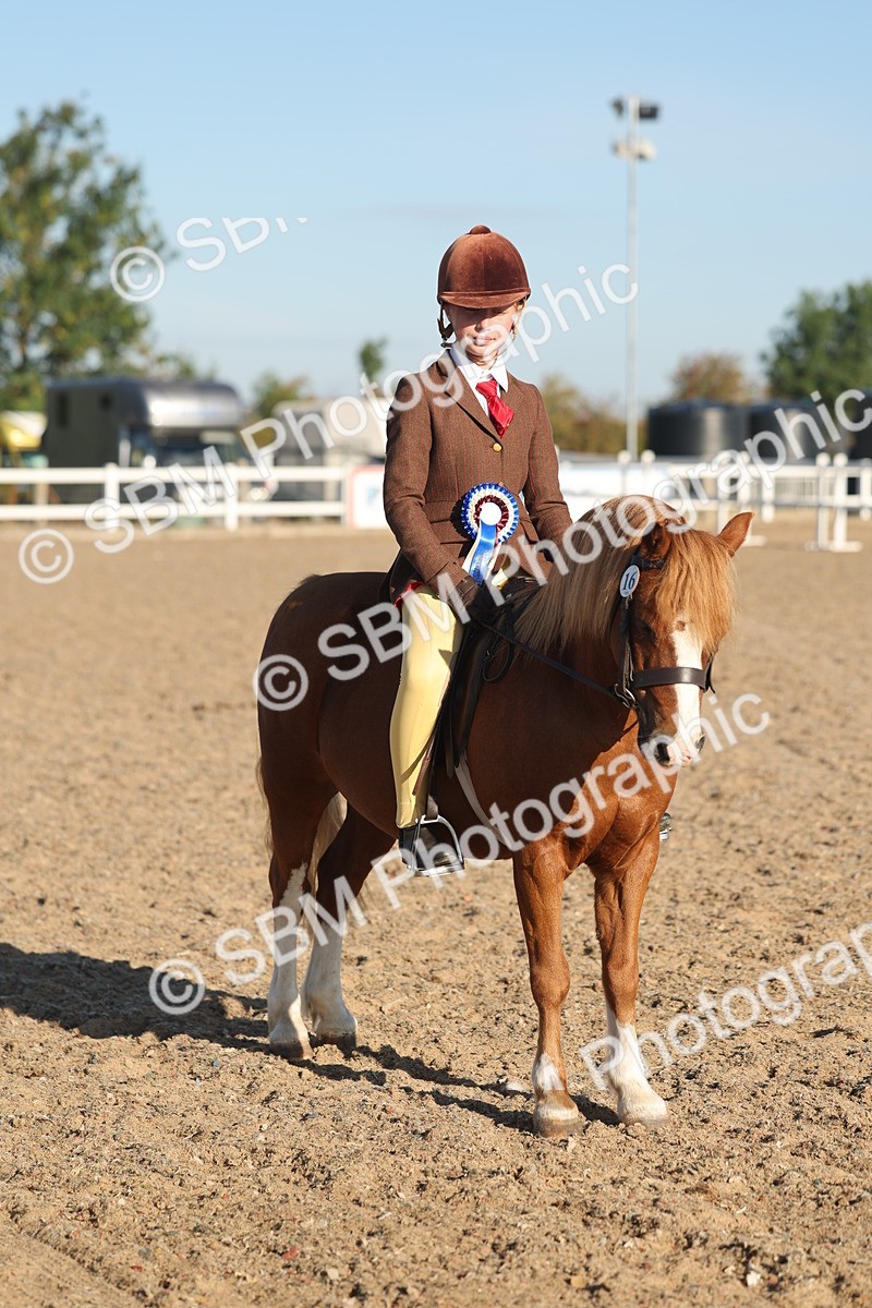 SBM_10937 - Class 301 - Ridden M&M Small Breeds