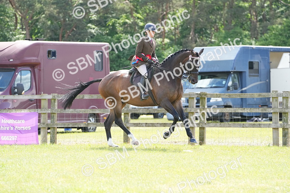 SBM_16315 - Class 105-106 - RIHS Riding Horses