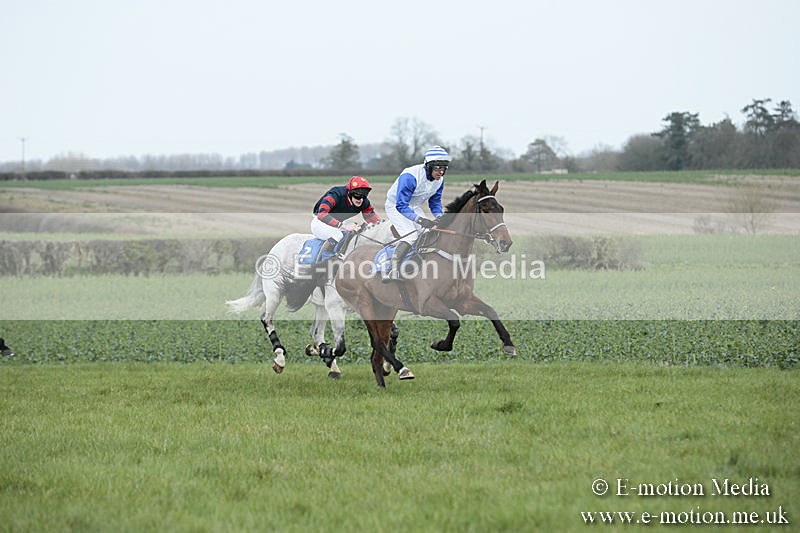PtP 230319 111 - VWH Hunt Siddington Point-to-Point Racing 23/03/19