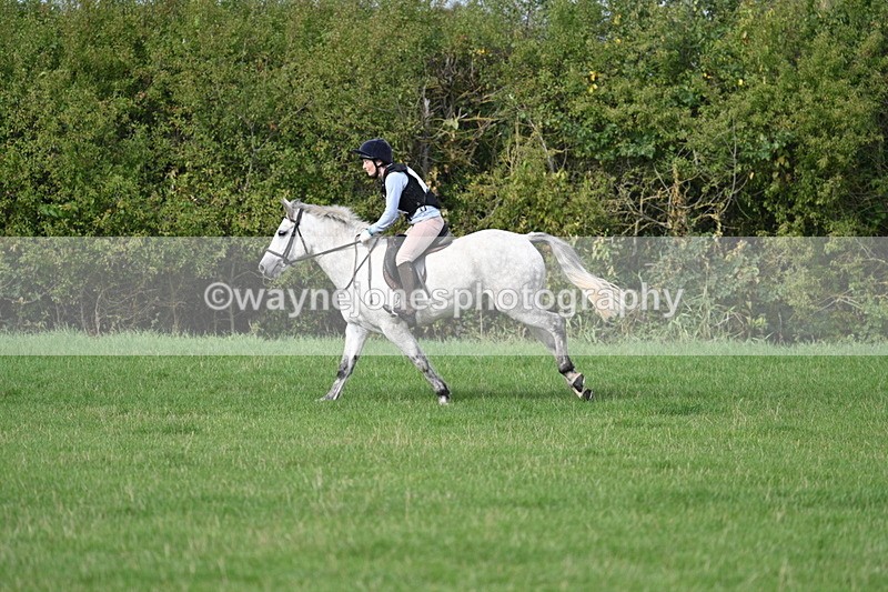 WJ7_8452 - 60cm Pairs