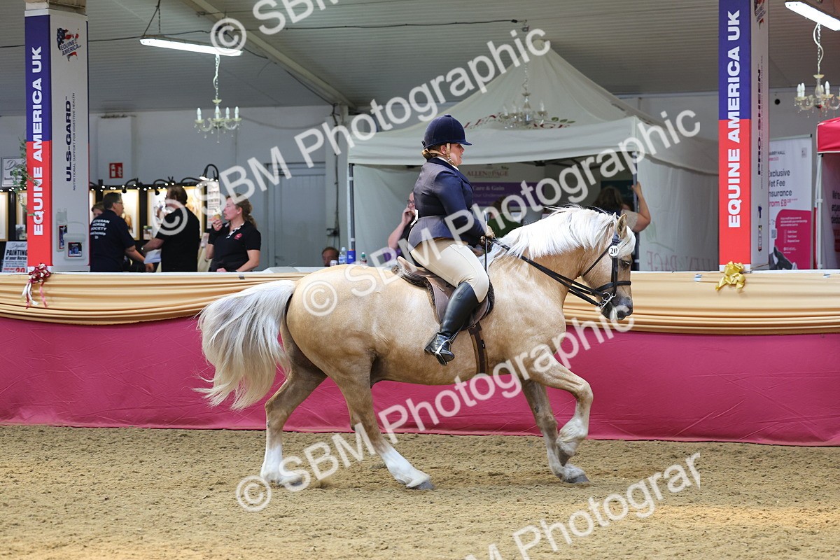 SBM_23908 - Class 905 - Supreme Final - Ridden Veteran
