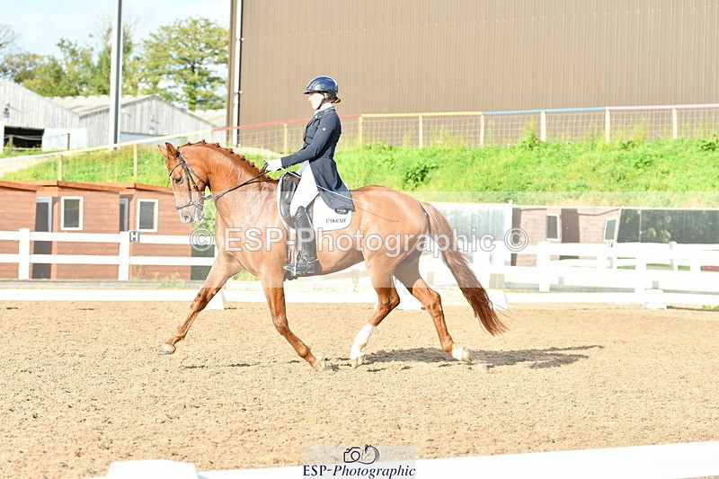 230912A-172430-02002 - Cls 23 FEI Grand Prix