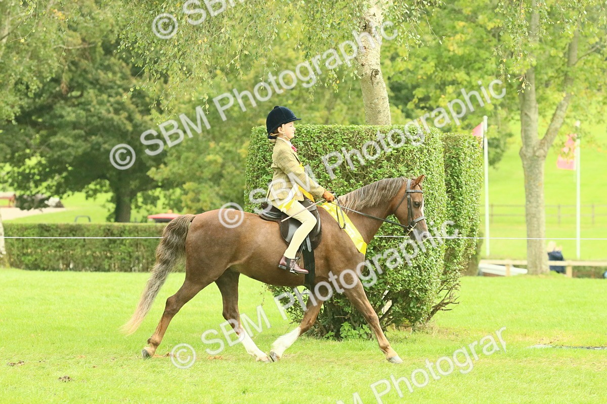 SBM_74979 - Ridden Pony Supreme Championship