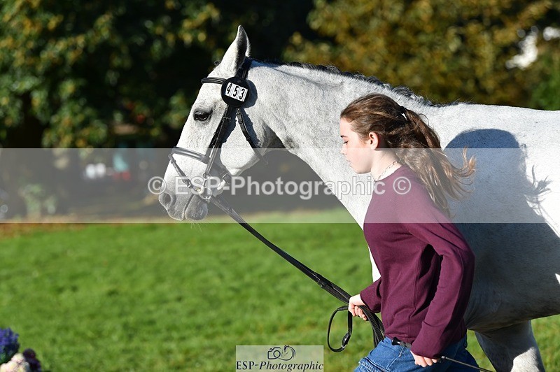 231022-100700-22248 - 453-SOURIS.DE.NESS-Darcy.Smith-TrotUp+SJ