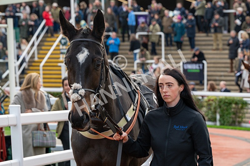 161125-Race 1-Khafre-1136 - Race 1
