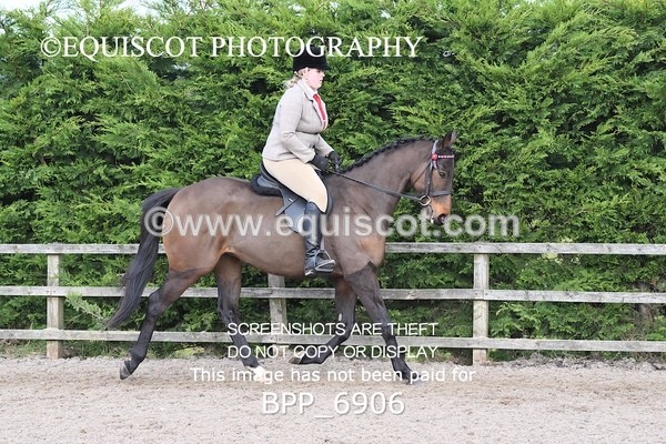 BPP_6906 - RING 1  (RIDDEN HORSES / IN HAND / VETERAN ETC)