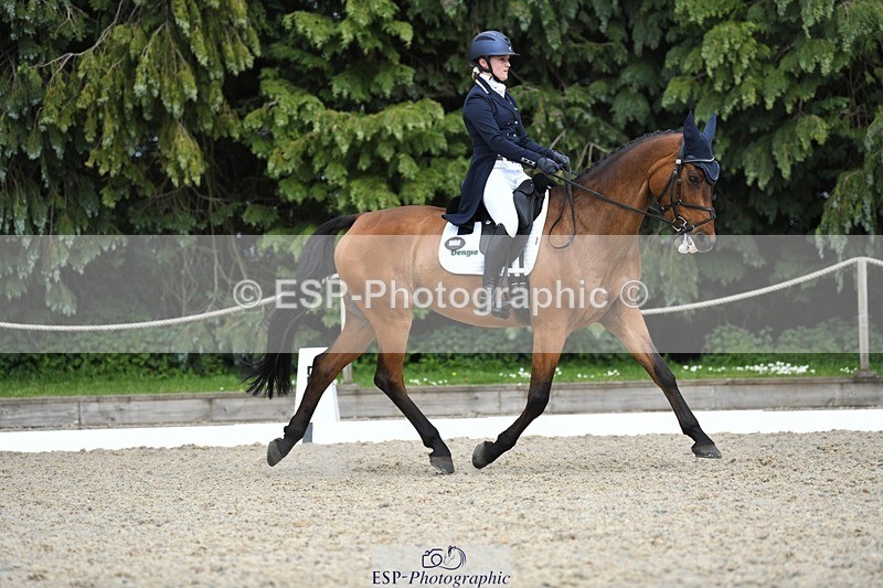 230525-154448-03303 - 329-VINTAGE_GRAFFITI-Alice_Hallows-WEDTrotUp+DR