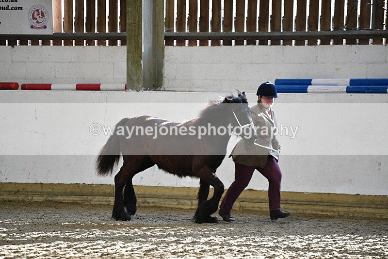 WJ5_3509 - Class 1 Youngstock