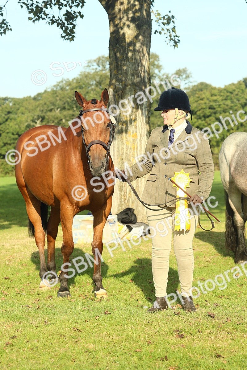 SBM_58643 - S37 - Starters In Hand Showing