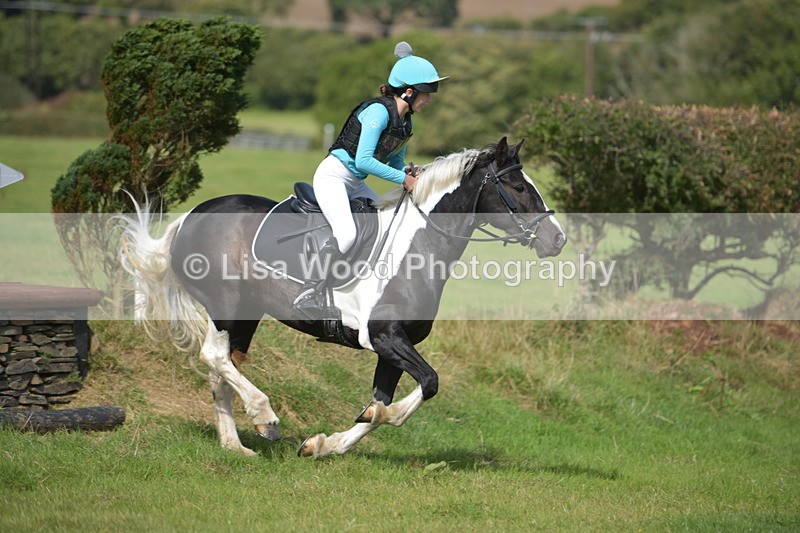 RAY_8645 - Class 2: Trekenning Open: Wall