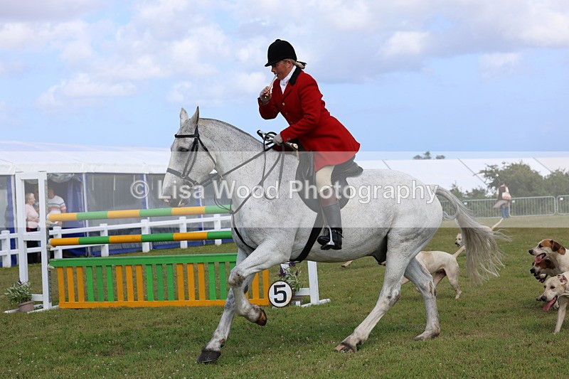 3E7A3394 - Parade of Hounds