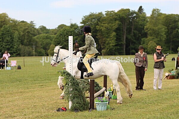 IMG_2543 - Working Hunter