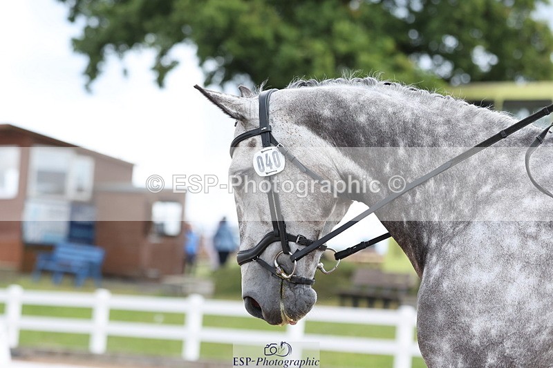 240706A-105756-00671 - Cls 2D Snr Prelim 18 Start to 12 break