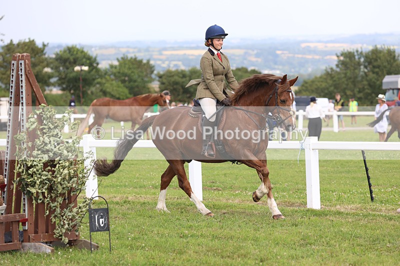 JPP_3843 - Class 23: Working Hunter 80cm