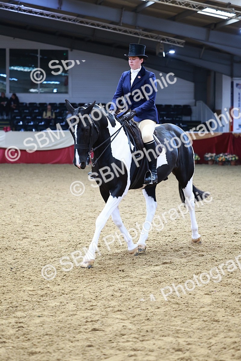 SBM_23421 - class 906 - Supreme Final - Ridden Pre Vet