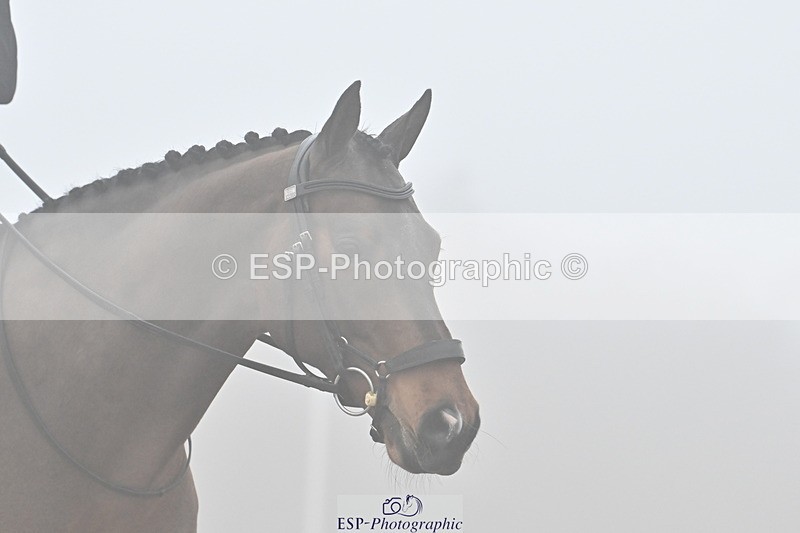 240217A-140440-03344 - 223-Victoria.Hamlyn-White-Kenzo.IV