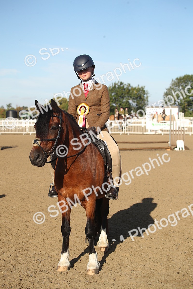 SBM_11587 - Class 502 - Riding Club Horse