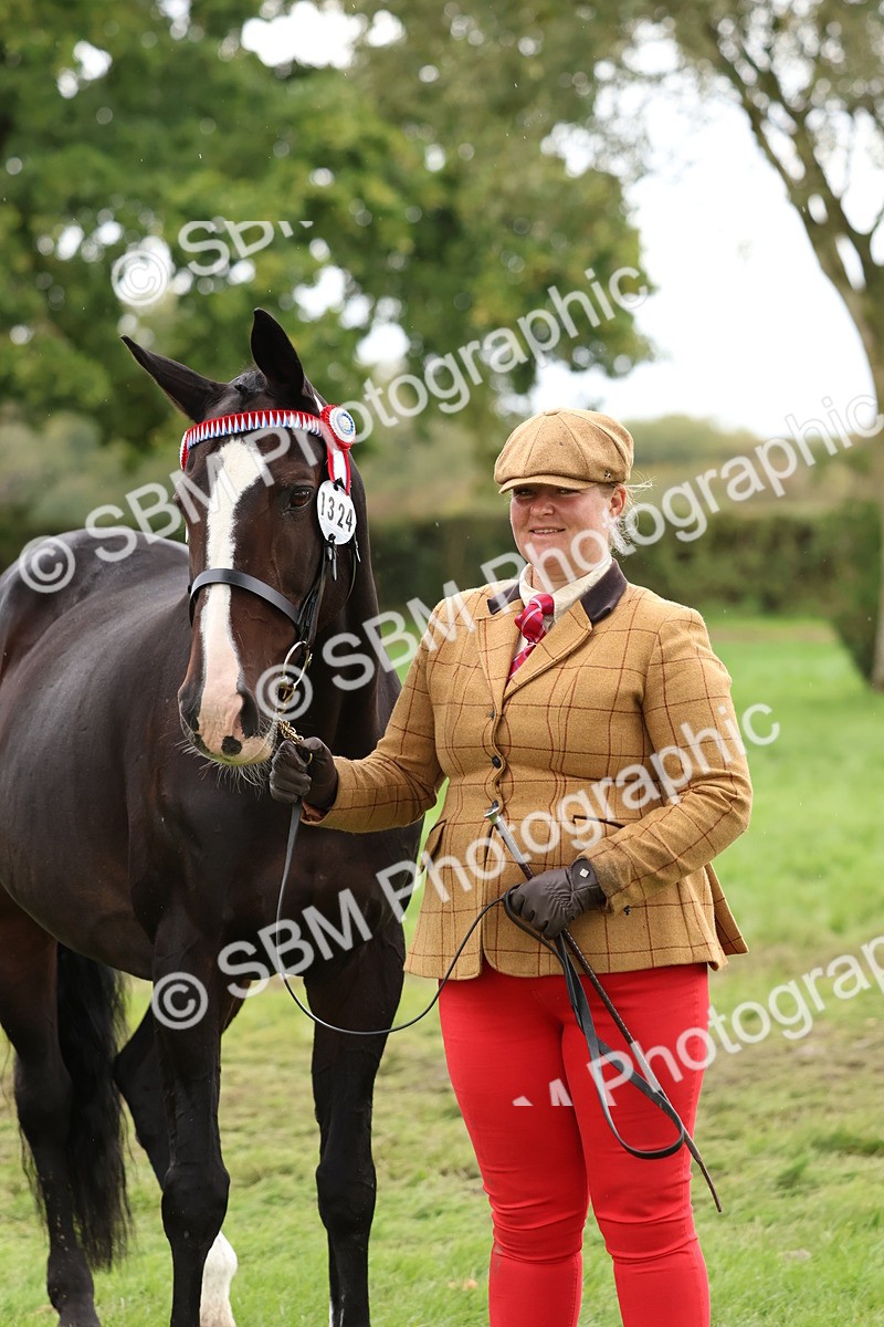 SBM_41731 - S26 - Mature Veteran In Hand