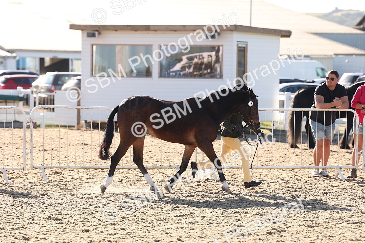 SBM_11629 - Class 203 - Young Handler 11 to 16 years