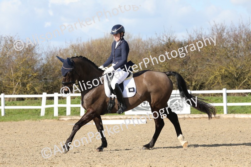 20260314-5052 - CT6 - Elementary 1