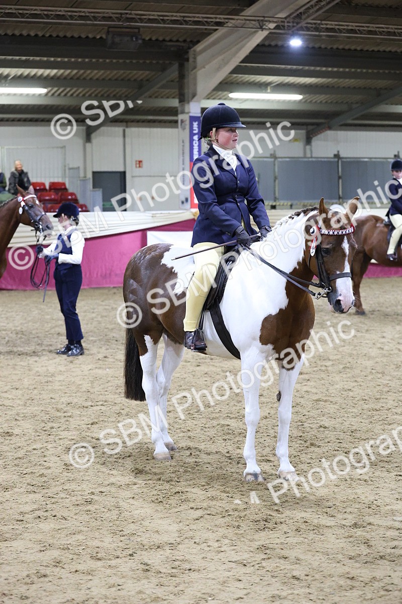 SBM_21263 - Class R - Veteran Champ