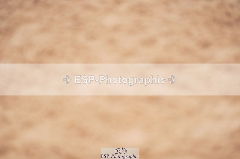 240506A-090254-07902 - Cls 11 Stepping Stones 128cm & 138cm