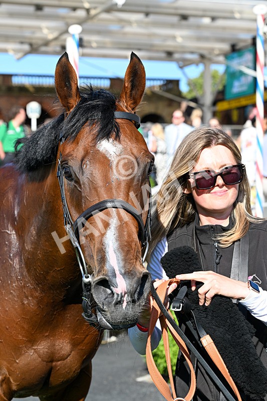 240726-Race 1-Jonny Concrete-0162 - Race 1 17.32pm eventmasters.co.uk Handicap