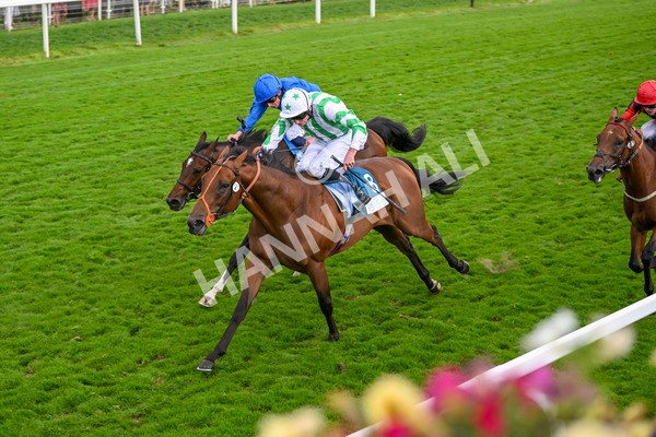 220824-Race 6-Angel Hunter-7851 - Race 6 4.45pm sensory-junction.co.uk Autism Awareness EBF Stallions Nursery Handicap