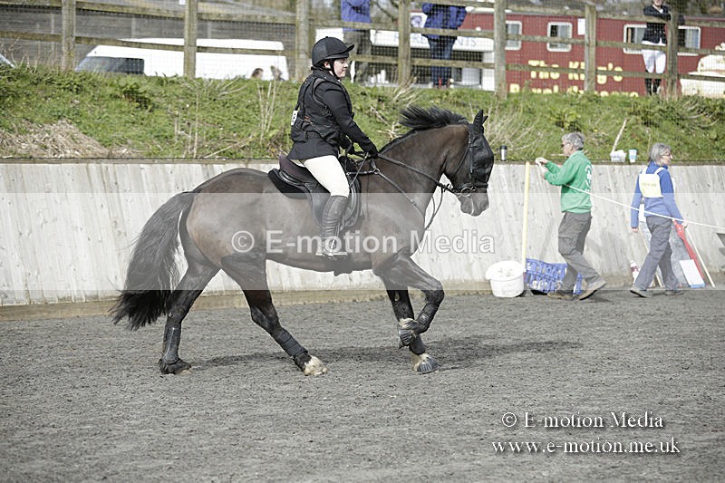 BVRC 050320 0122 - Bourne Valley riding Club Show Jumping Tidworth 08/03/20