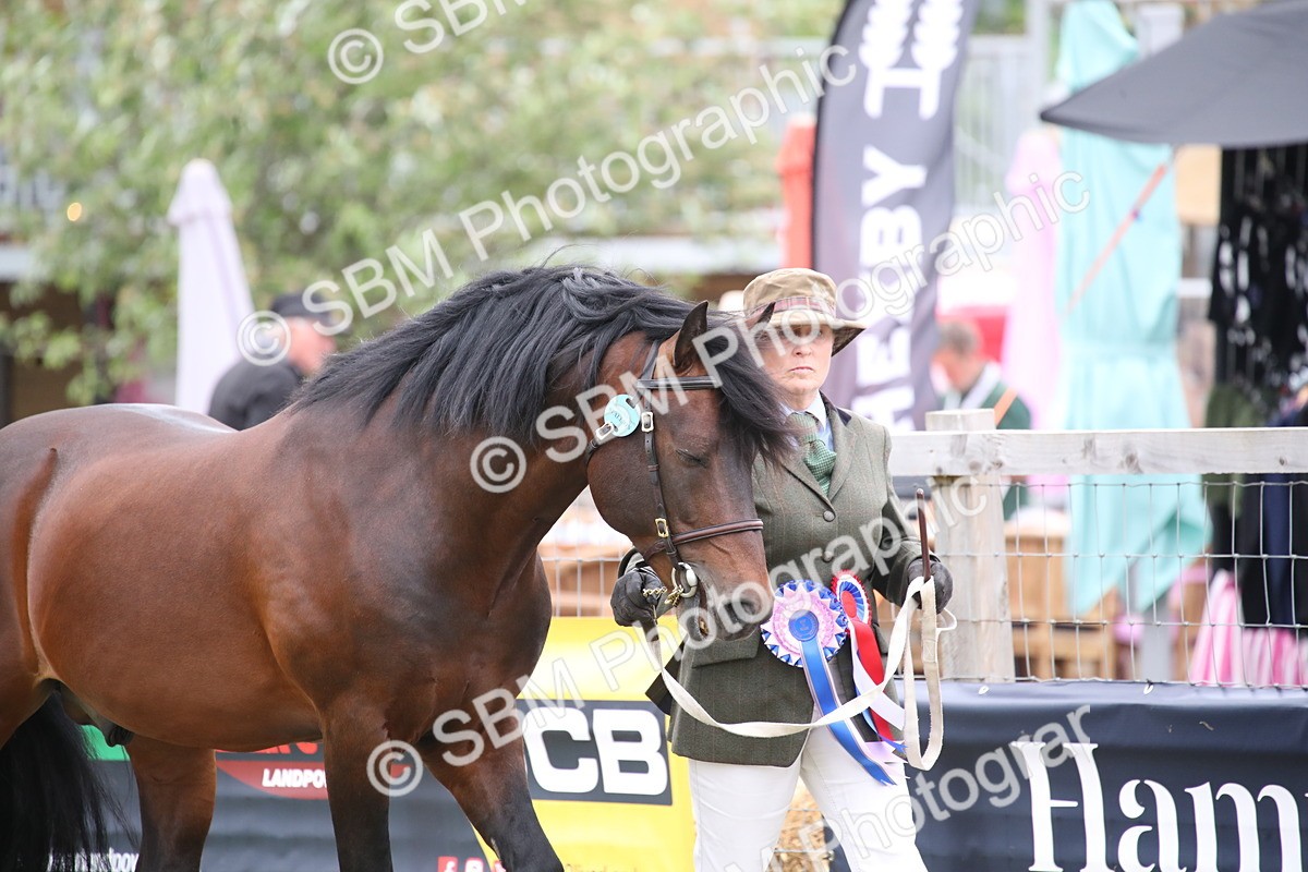 SBM_09722 - Ch 50 - Price Family Supreme In Hand