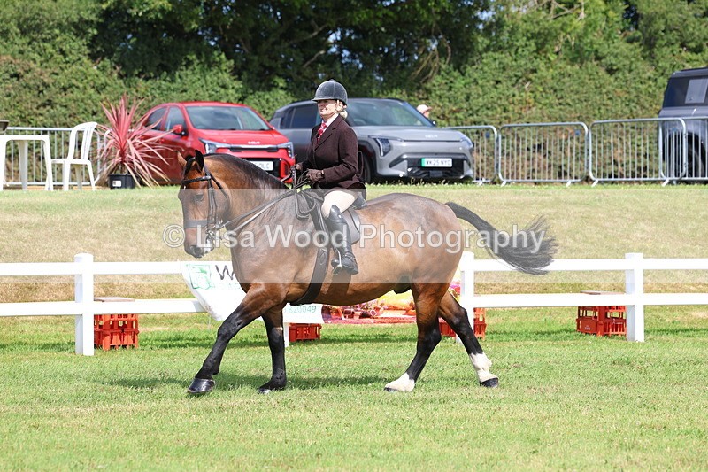 3E7A9735 - Class 5: Rising Star Lightweight/Heavyweight Cobs