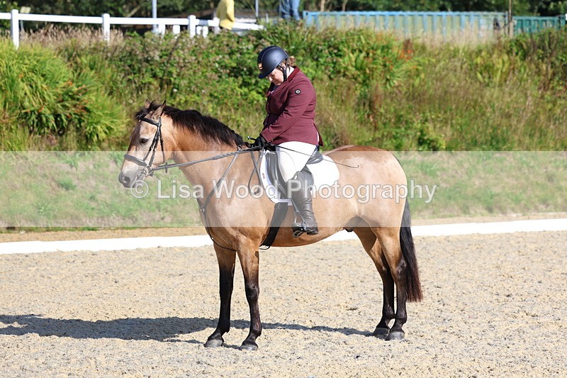 3E7A3426 - Class 2: Intro 1 2024 Section B