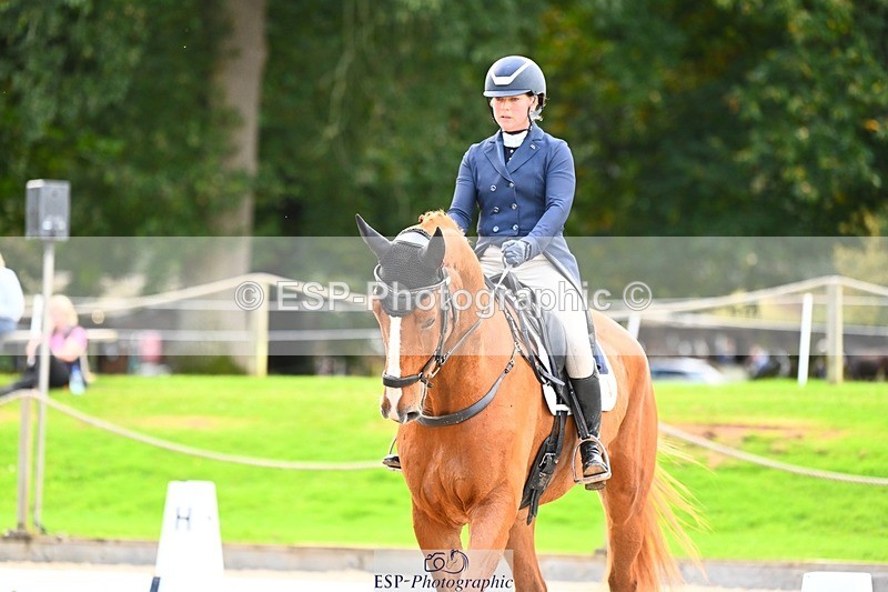 231020-145542-10039 - 311-DALOUBET.MANSOLEIN.Z-Kat.Raybould-DR