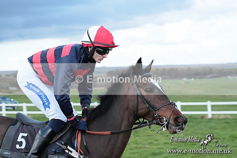 PtP 230324 973 - Tedworth Hunt PtP Larkhill Raccourse 23rd March 2024