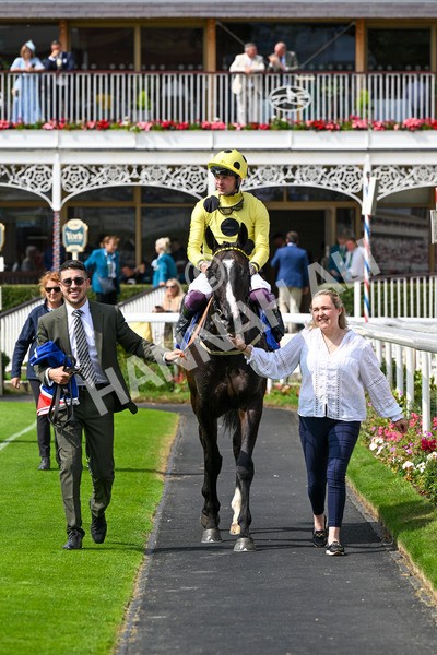260725-Race 3-Royal Champion-0519 - Race 3 2.40pm Sky Bet York Stakes