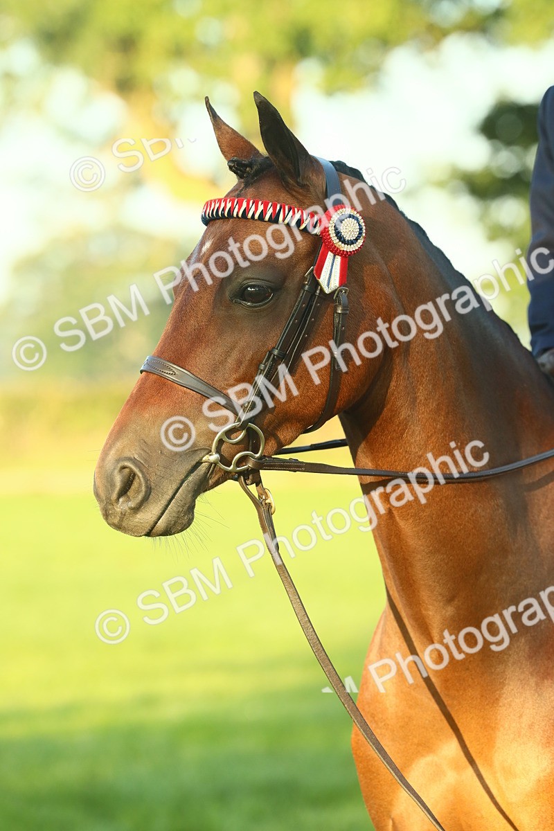 SBM_56587 - S36 - Starters Best Turnout