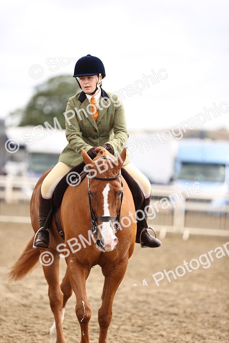SBM_00665 - Class 53 - Ridden Competition Horse Pony