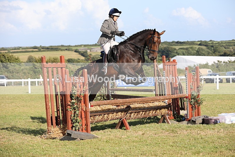 JPP_3121 - Class 21: Working Hunter 80cm