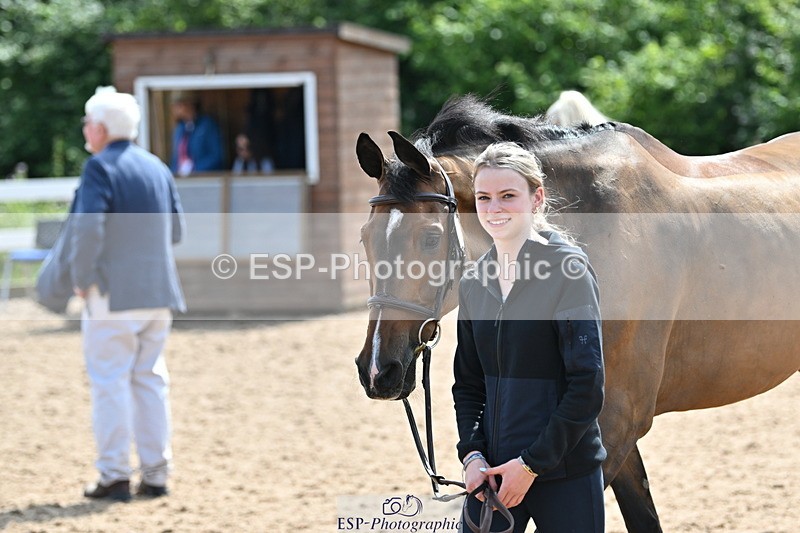 240717A-153335-02879 - Trot Up 3pm to 4pm