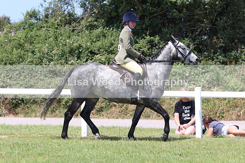 JPP_2738 - Class 21: Working Hunter 60cm