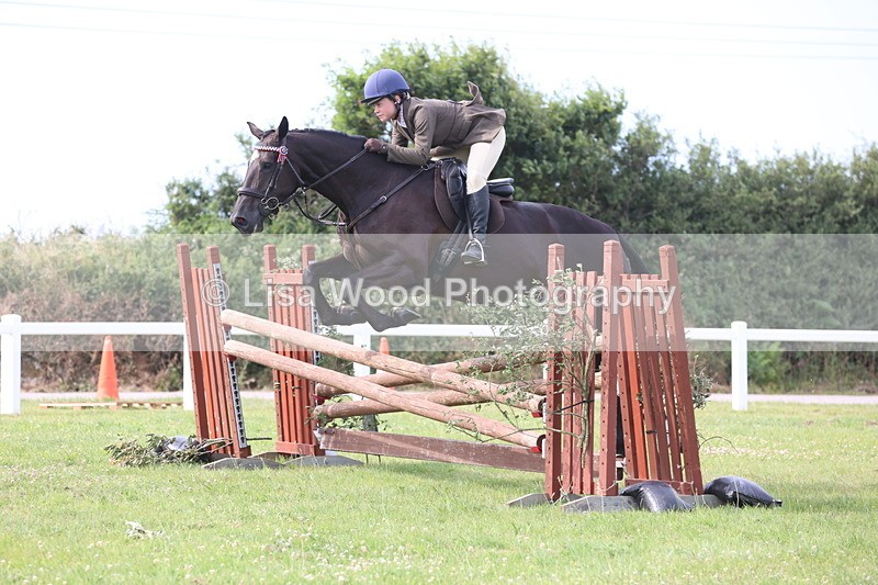 JPP_4223 - Class 25: Working Show Horse